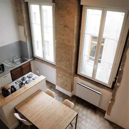 Spacious Studio Completely Renovated Right In The City Center Lyon